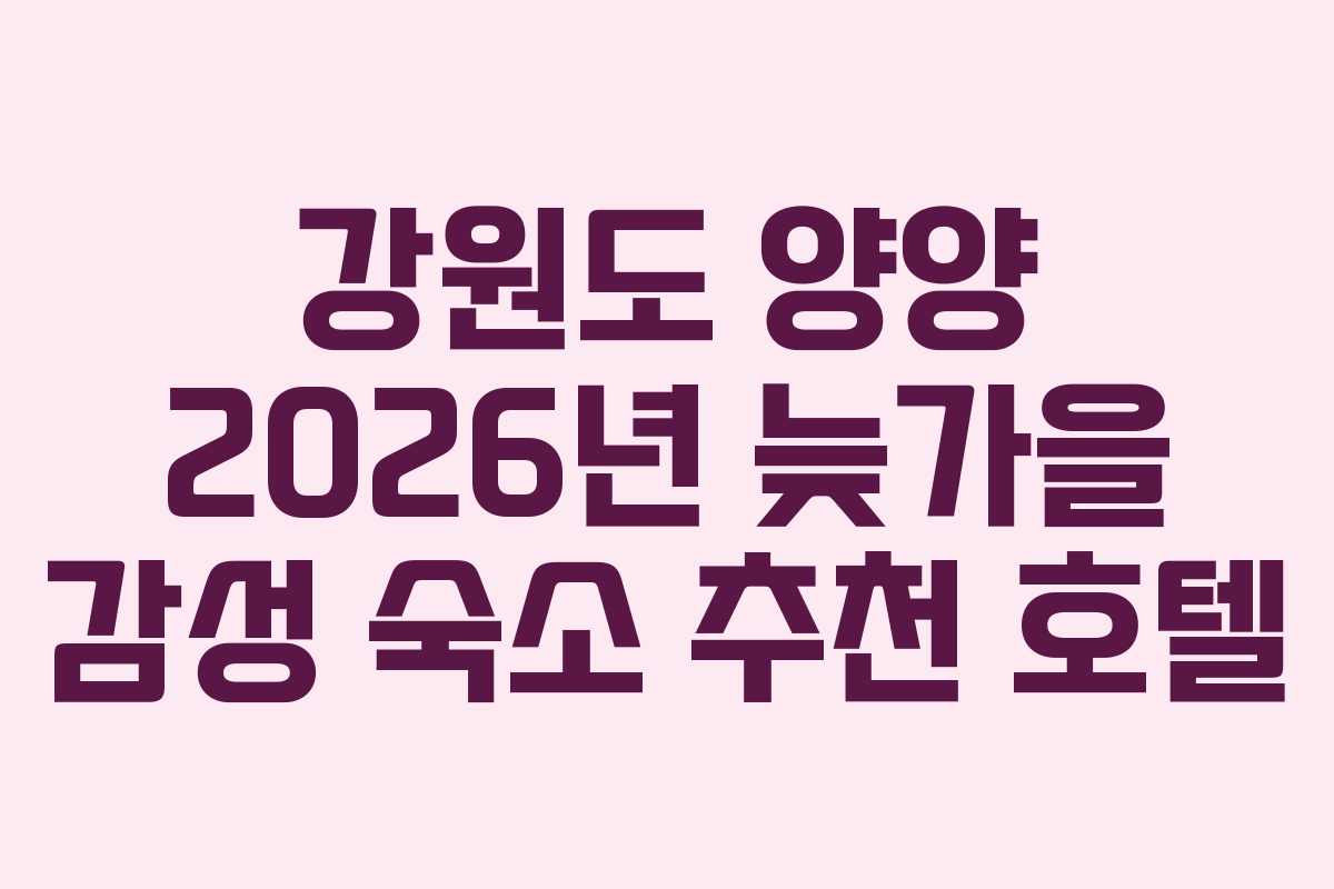 강원도 양양 2026년 늦가을 감성 숙소 추천 호텔