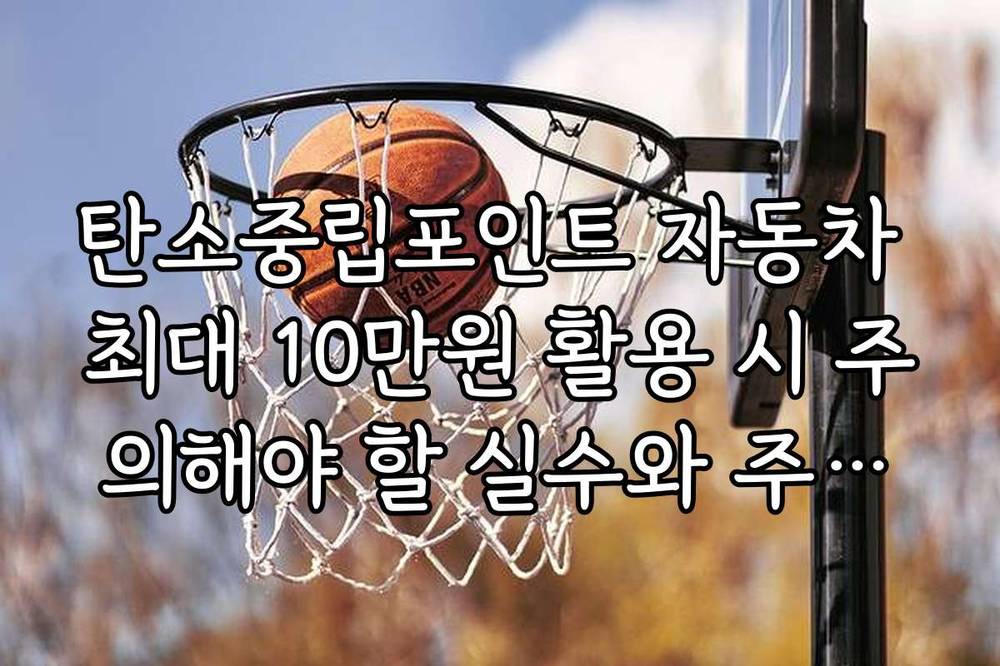 탄소중립포인트 자동차 최대 10만원 활용 시 주의해야 할 실수와 주의사항