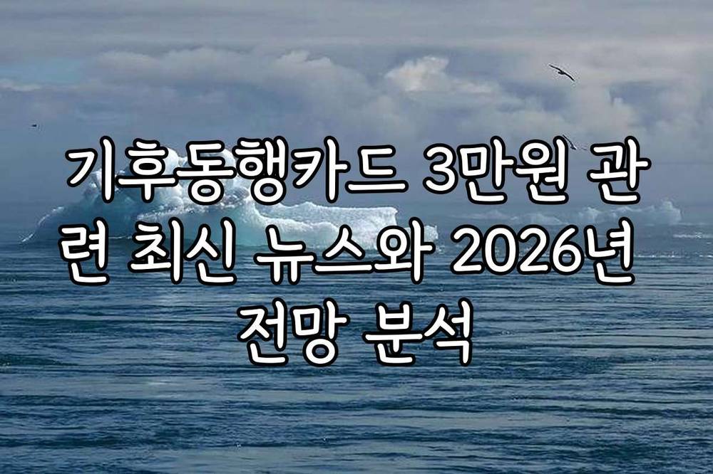 기후동행카드 3만원 관련 최신 뉴스와 2026년 전망 분석
