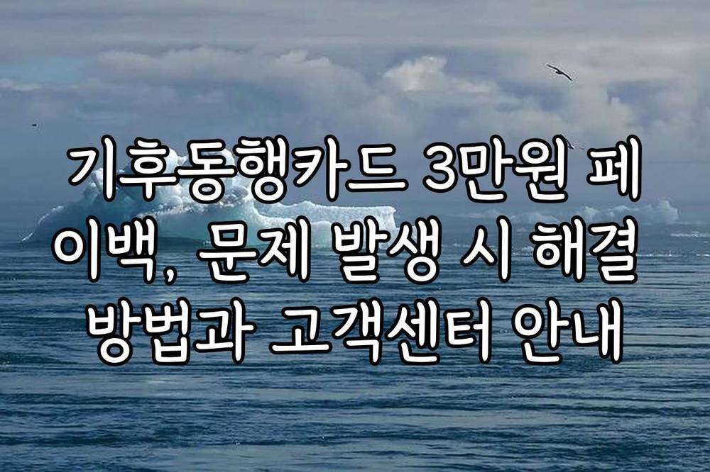 기후동행카드 3만원 페이백, 문제 발생 시 해결 방법과 고객센터 안내