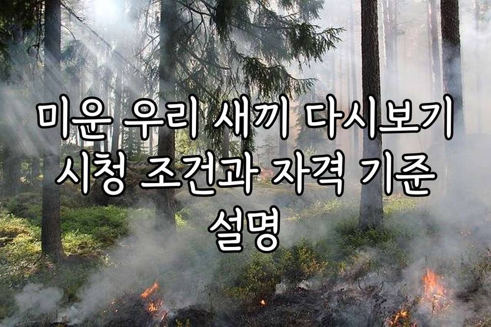 미운 우리 새끼 다시보기 시청 조건과 자격 기준 설명