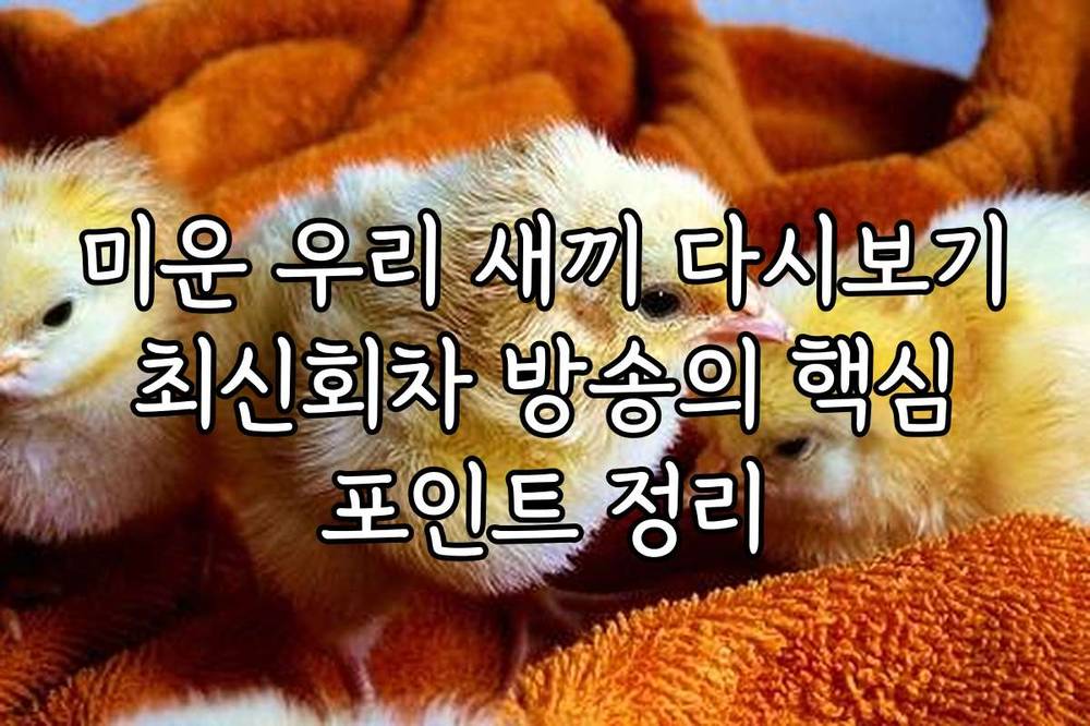 미운 우리 새끼 다시보기 최신회차 방송의 핵심 포인트 정리