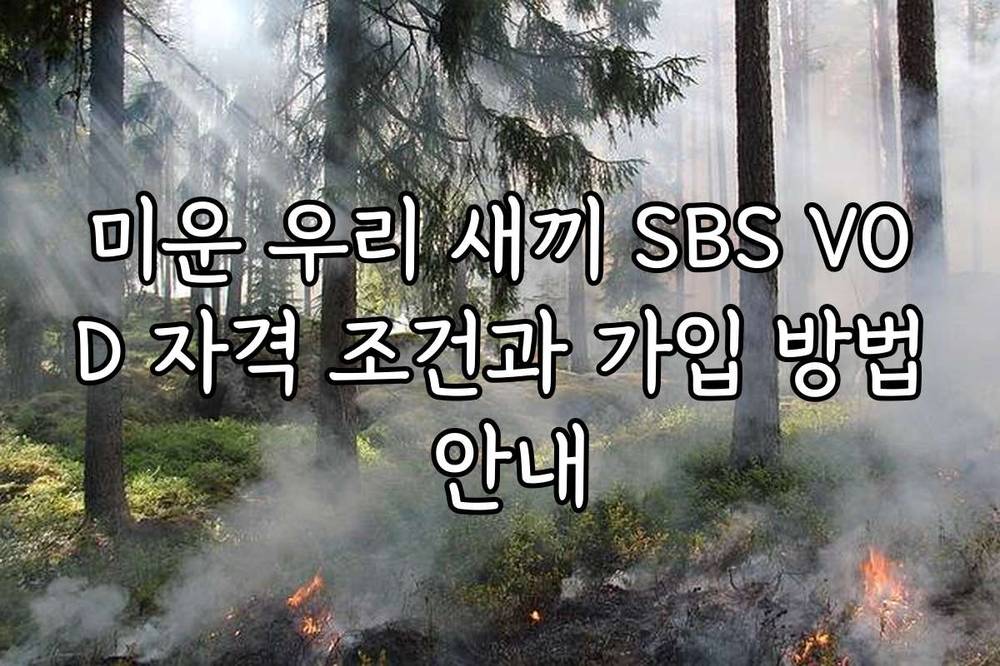 미운 우리 새끼 SBS VOD 자격 조건과 가입 방법 안내