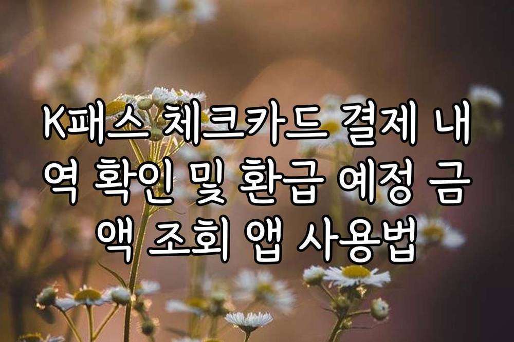 K패스 체크카드 결제 내역 확인 및 환급 예정 금액 조회 앱 사용법