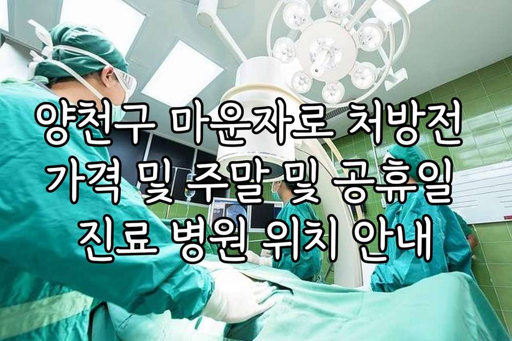 양천구 마운자로 처방전 가격 및 주말 및 공휴일 진료 병원 위치 안내
