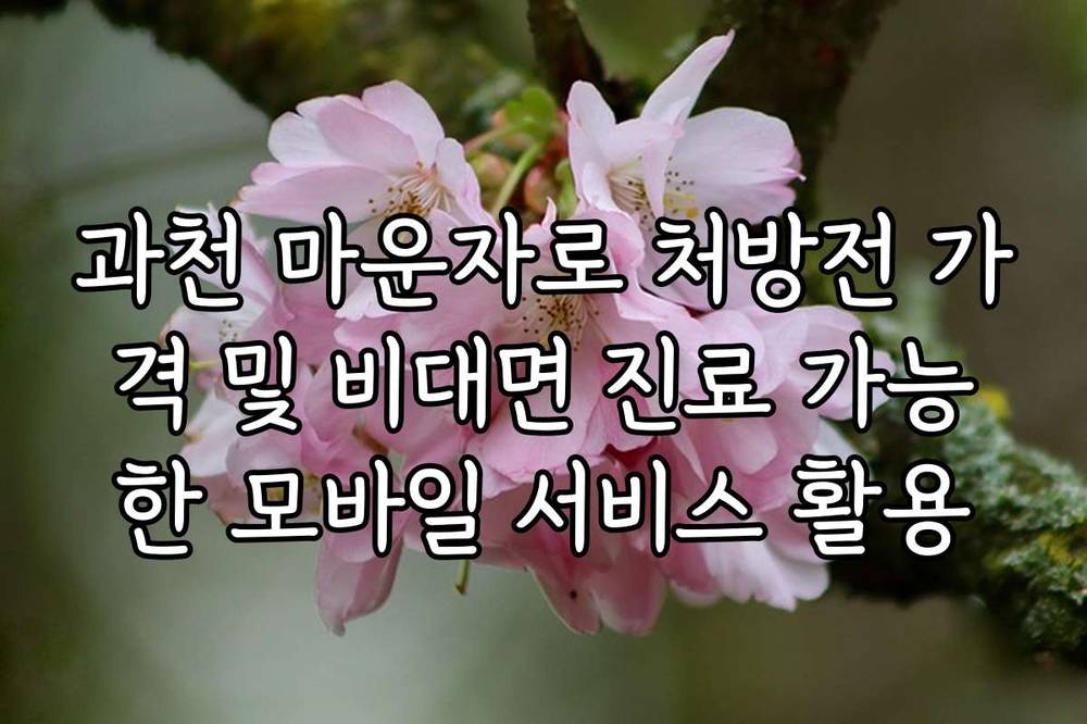 과천 마운자로 처방전 가격 및 비대면 진료 가능한 모바일 서비스 활용