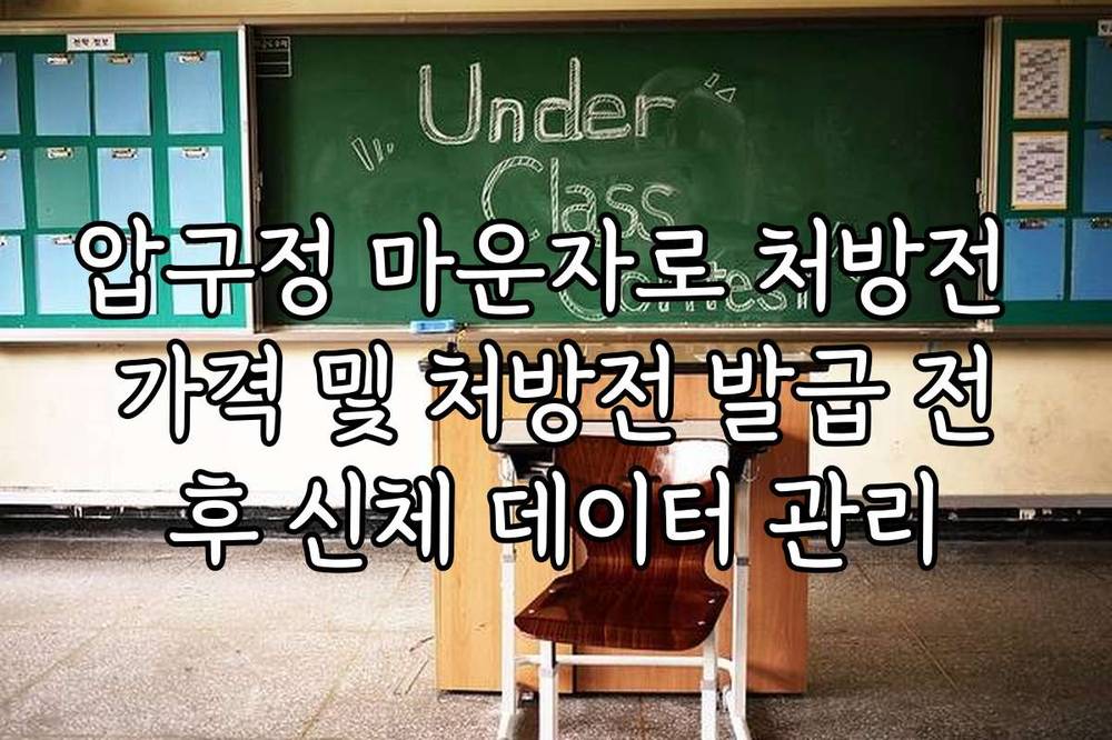 압구정 마운자로 처방전 가격 및 처방전 발급 전후 신체 데이터 관리