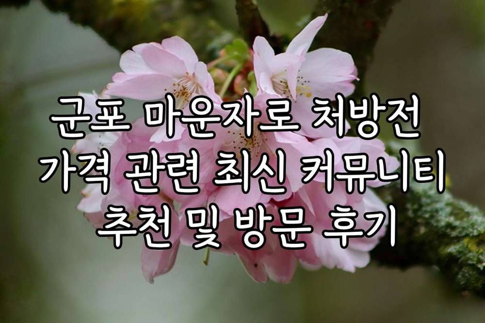 군포 마운자로 처방전 가격 관련 최신 커뮤니티 추천 및 방문 후기