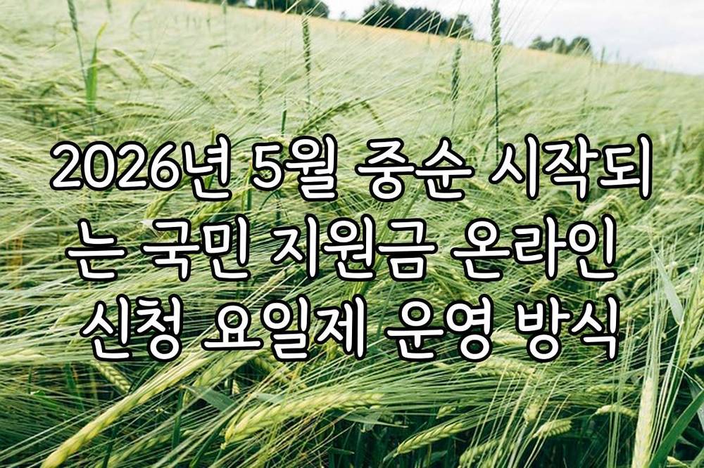 2026년 5월 중순 시작되는 국민 지원금 온라인 신청 요일제 운영 방식