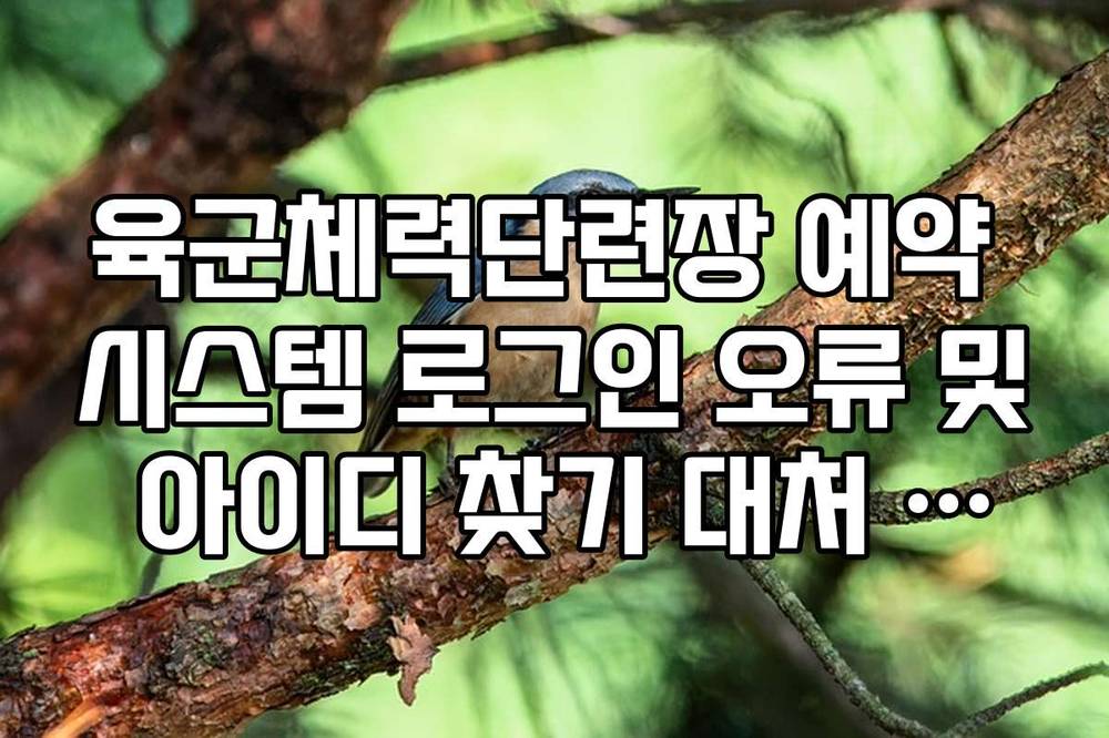 육군체력단련장 예약 시스템 로그인 오류 및 아이디 찾기 대처 방법