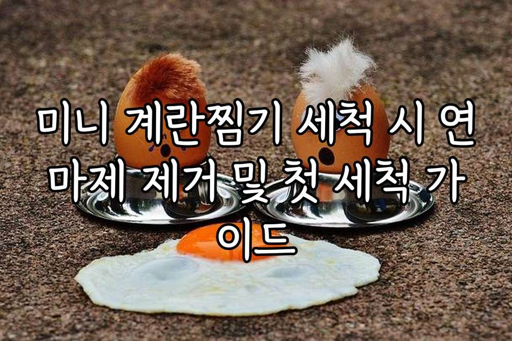 미니 계란찜기 세척 시 연마제 제거 및 첫 세척 가이드