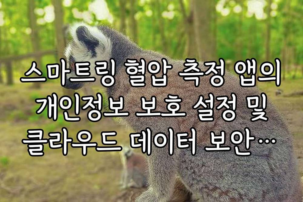 스마트링 혈압 측정 앱의 개인정보 보호 설정 및 클라우드 데이터 보안 강화 방법