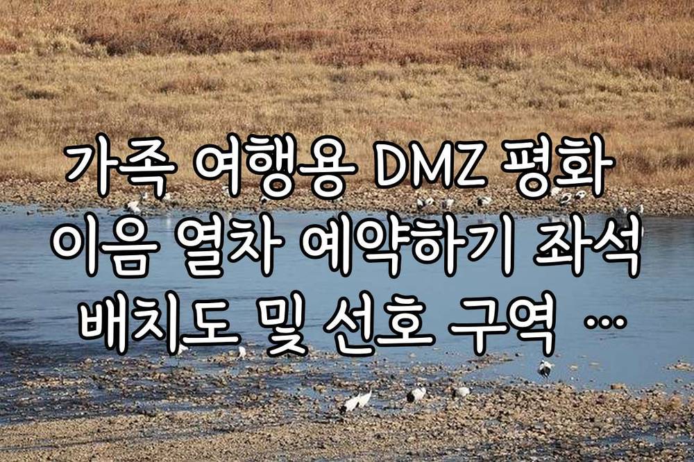 가족 여행용 DMZ 평화 이음 열차 예약하기 좌석 배치도 및 선호 구역 추천