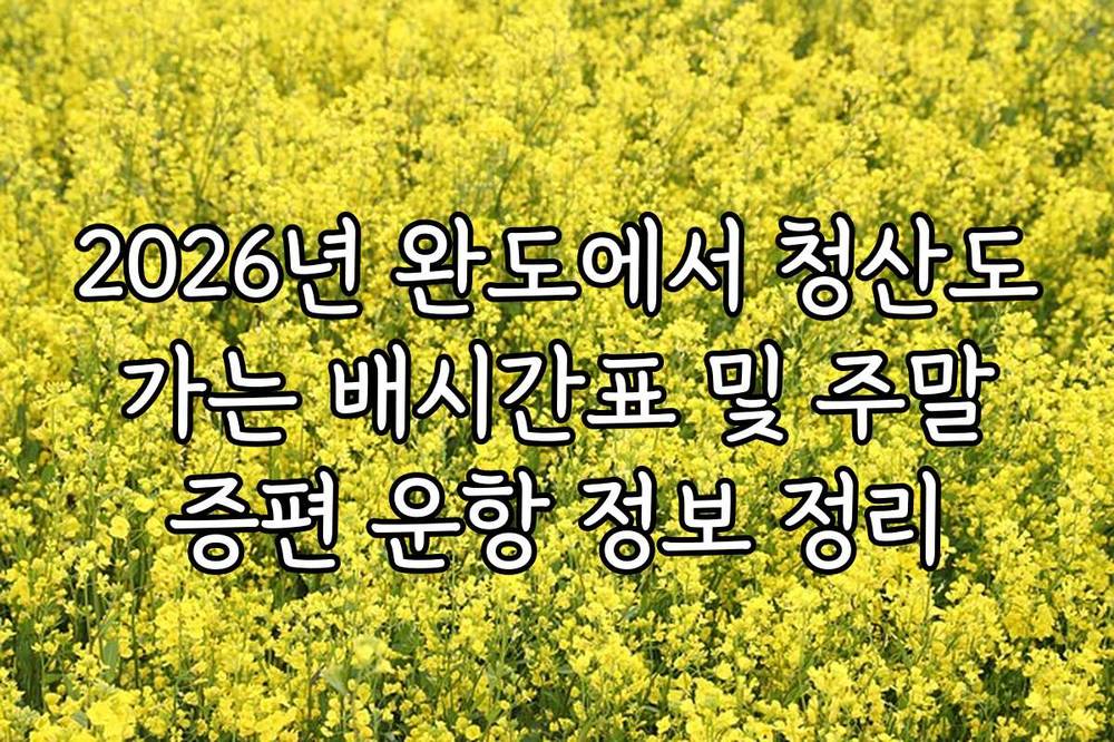 2026년 완도에서 청산도 가는 배시간표 및 주말 증편 운항 정보 정리