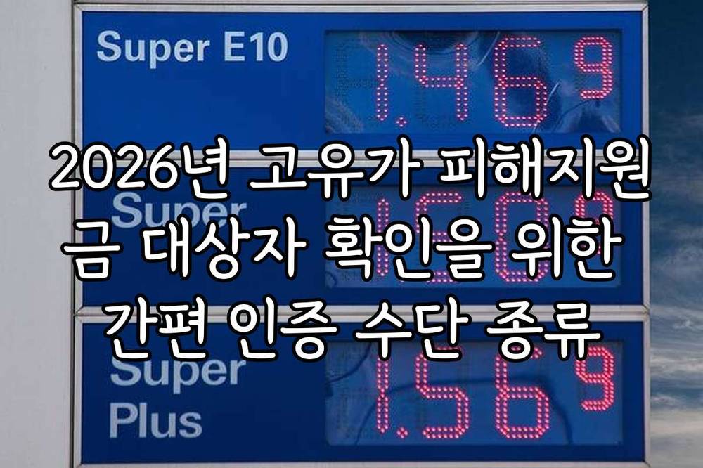 2026년 고유가 피해지원금 대상자 확인을 위한 간편 인증 수단 종류