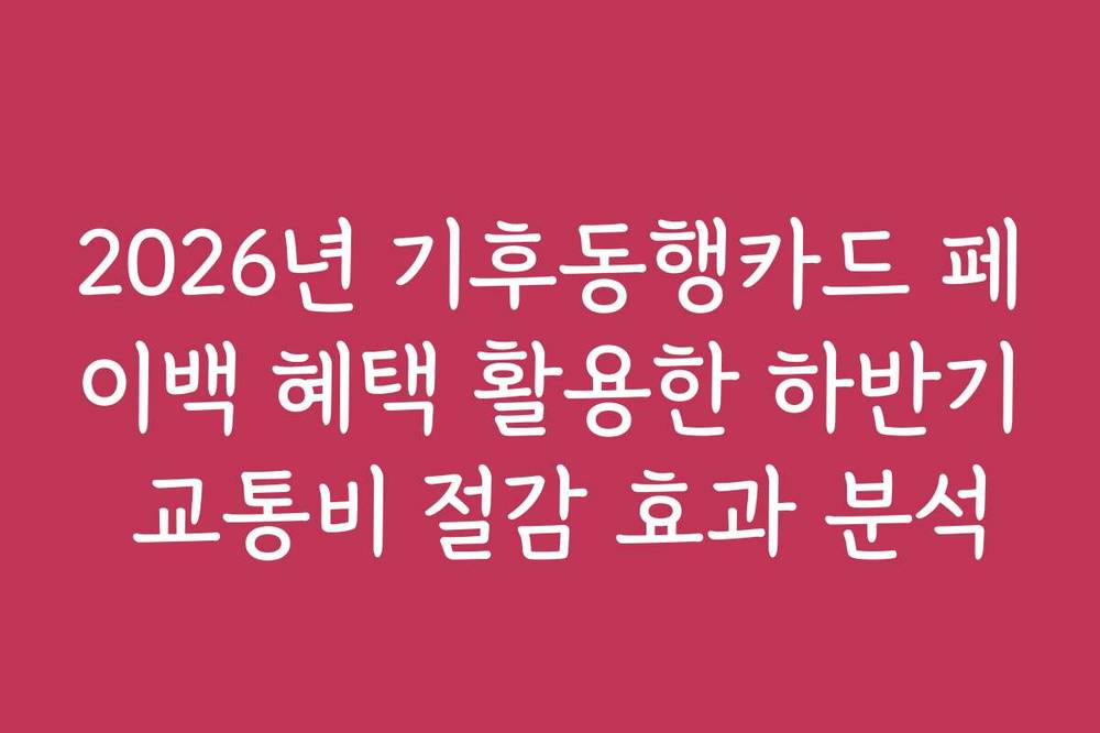 2026년 기후동행카드 페이백 혜택 활용한 하반기 교통비 절감 효과 분석