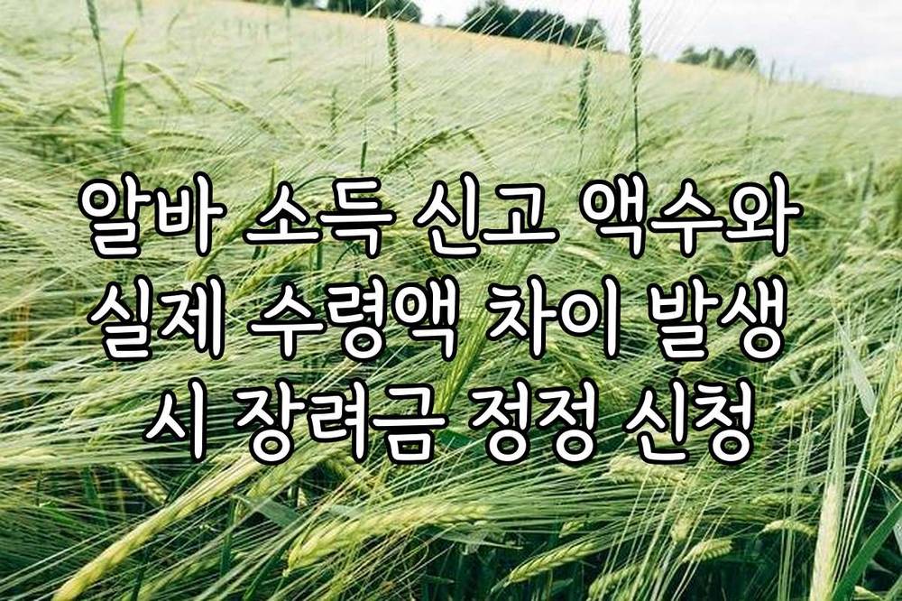 알바 소득 신고 액수와 실제 수령액 차이 발생 시 장려금 정정 신청