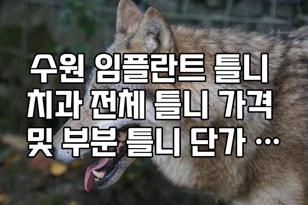 수원 임플란트 틀니 치과 전체 틀니 가격 및 부분 틀니 단가 비교 정리