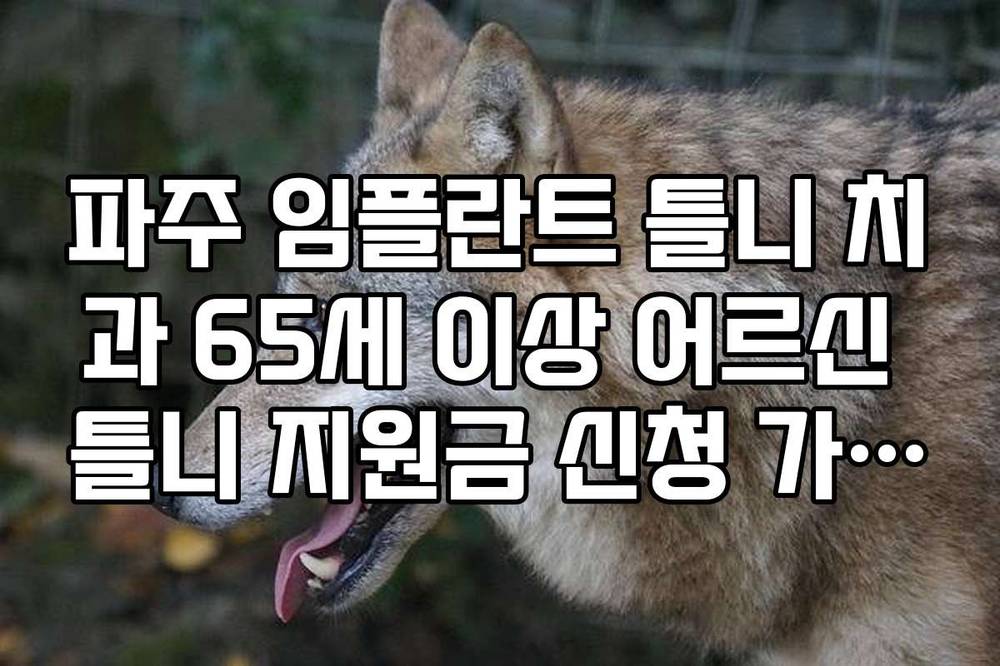 파주 임플란트 틀니 치과 65세 이상 어르신 틀니 지원금 신청 가이드