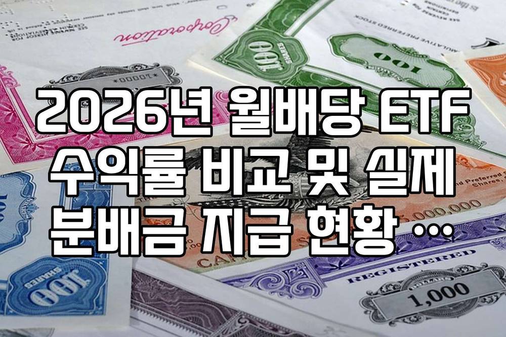 2026년 월배당 ETF 수익률 비교 및 실제 분배금 지급 현황 팩트 체크