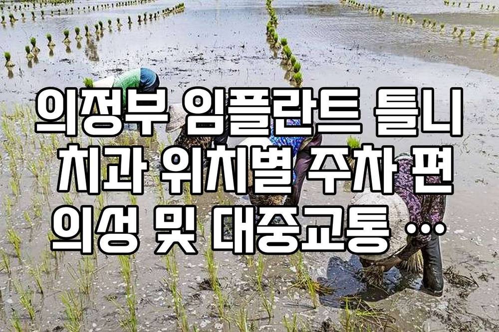 의정부 임플란트 틀니 치과 위치별 주차 편의성 및 대중교통 접근성