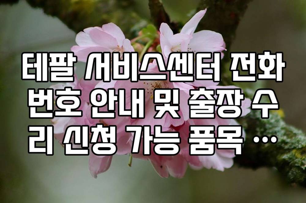 테팔 서비스센터 전화번호 안내 및 출장 수리 신청 가능 품목 정리