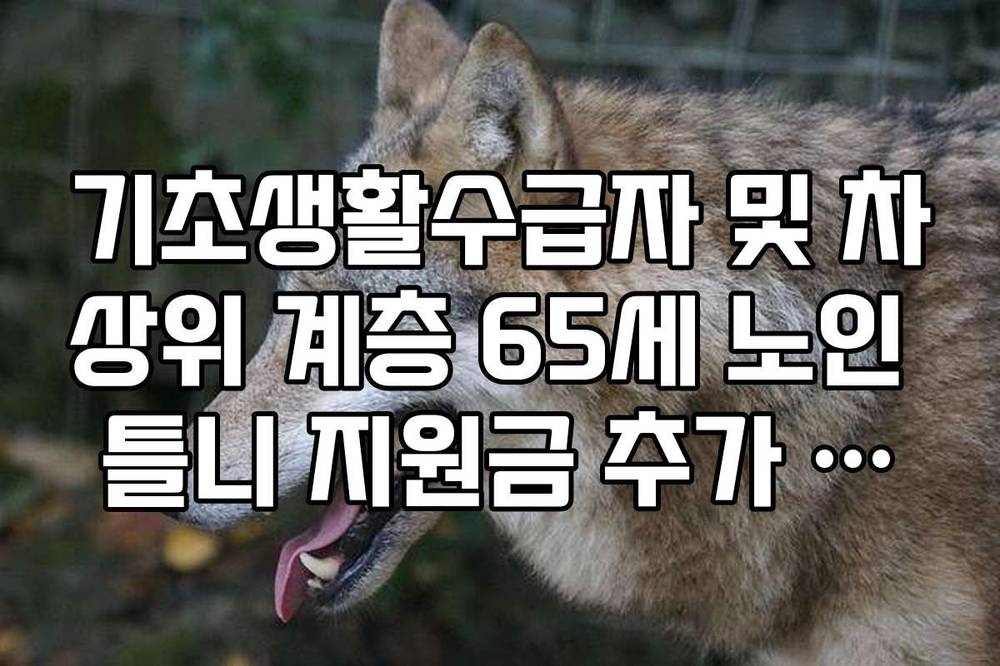 기초생활수급자 및 차상위 계층 65세 노인 틀니 지원금 추가 혜택 안내