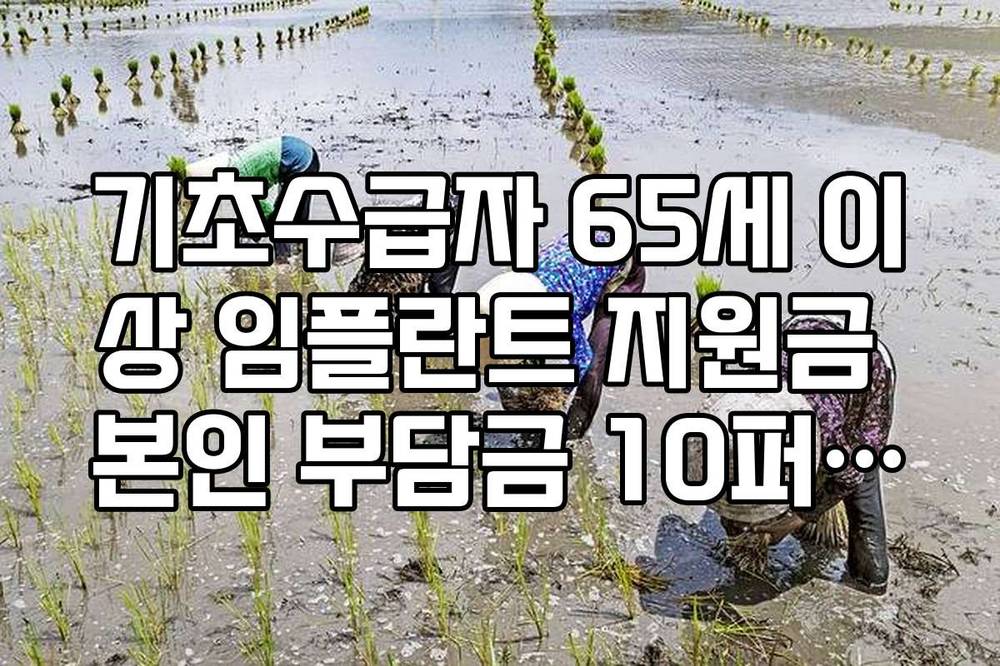 기초수급자 65세 이상 임플란트 지원금 본인 부담금 10퍼센트 경감 혜택