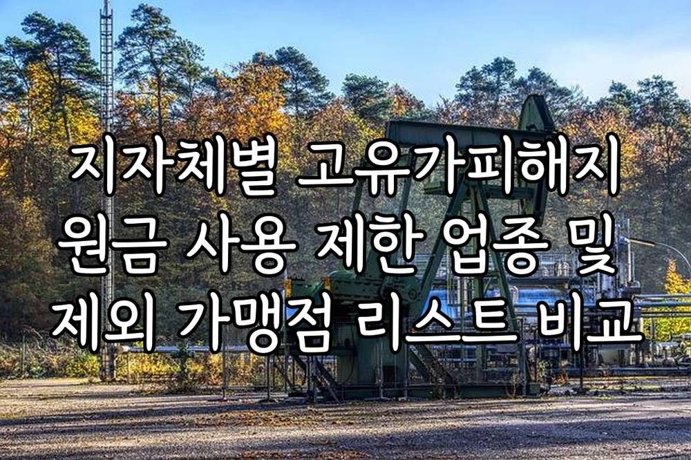 지자체별 고유가피해지원금 사용 제한 업종 및 제외 가맹점 리스트 비교