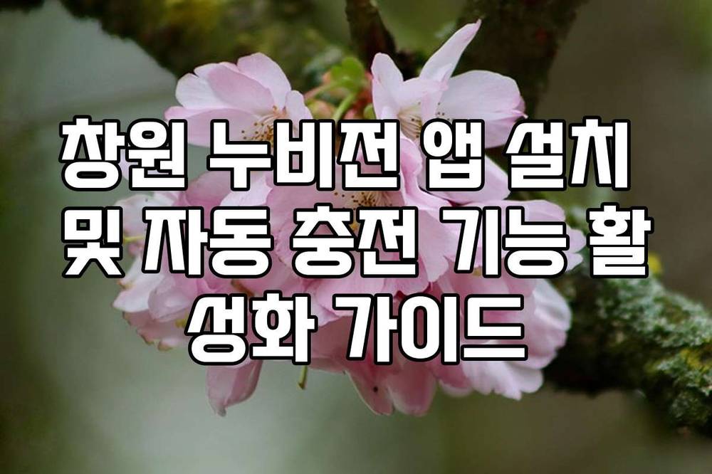 창원 누비전 앱 설치 및 자동 충전 기능 활성화 가이드