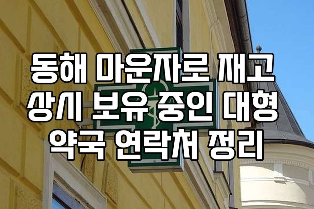 동해 마운자로 재고 상시 보유 중인 대형 약국 연락처 정리