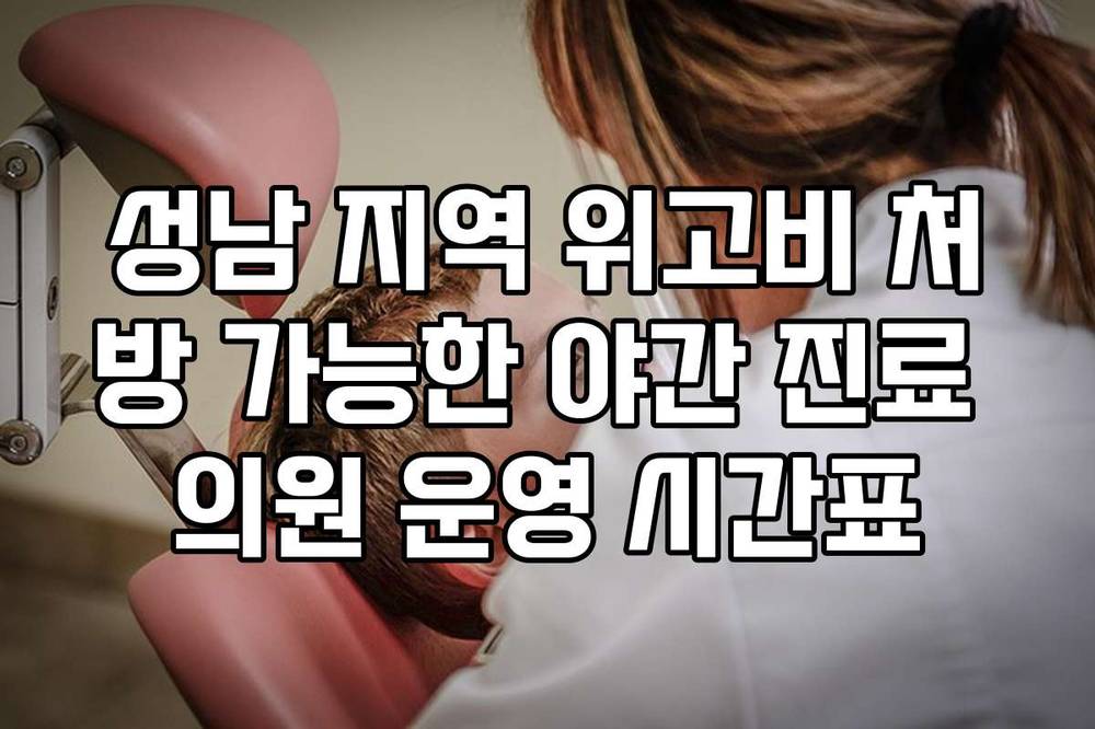 성남 지역 위고비 처방 가능한 야간 진료 의원 운영 시간표