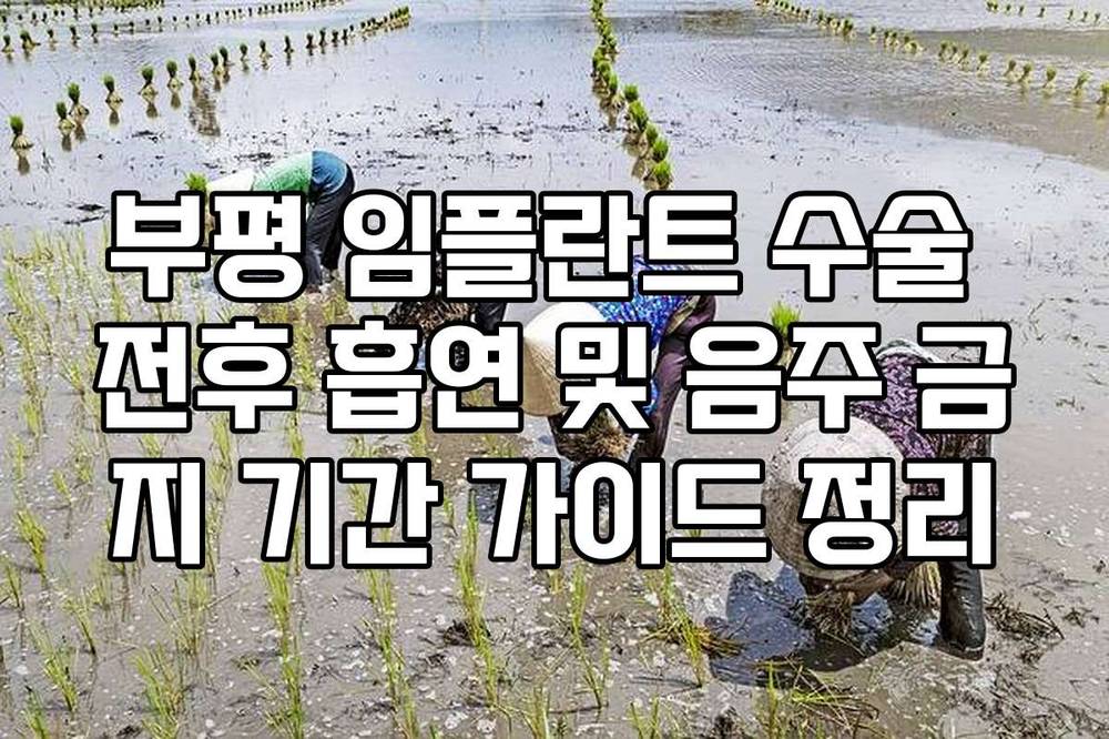 부평 임플란트 수술 전후 흡연 및 음주 금지 기간 가이드 정리