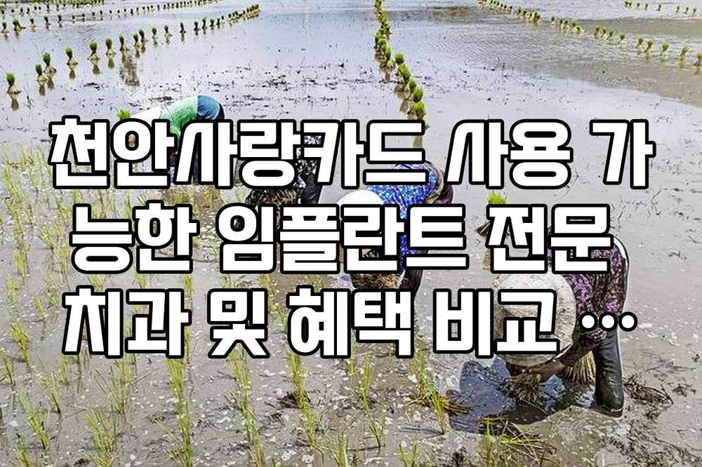 천안사랑카드 사용 가능한 임플란트 전문 치과 및 혜택 비교 리스트
