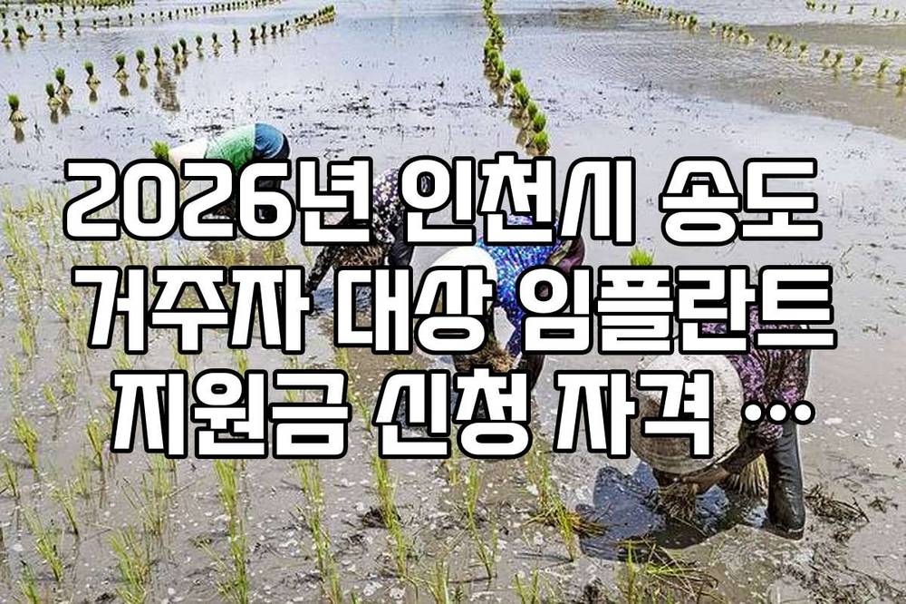 2026년 인천시 송도 거주자 대상 임플란트 지원금 신청 자격 가이드