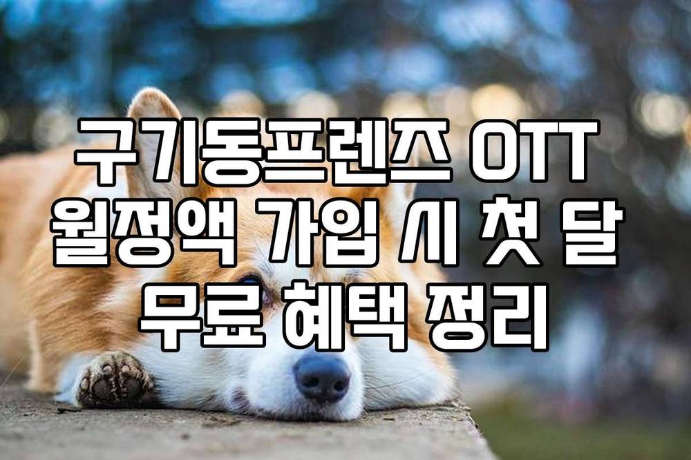 구기동프렌즈 OTT 월정액 가입 시 첫 달 무료 혜택 정리