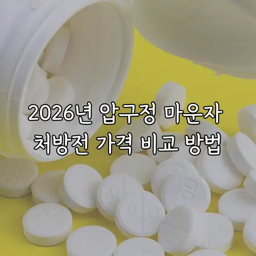 2026년 압구정 마운자 처방전 가격 비교 방법
