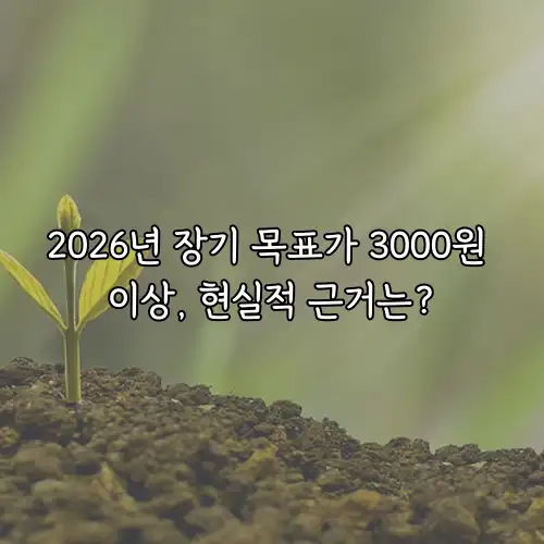 2026년 장기 목표가 3000원 이상, 현실적 근거는?