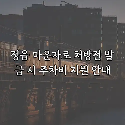 정읍 마운자로 처방전 발급 시 주차비 지원 안내