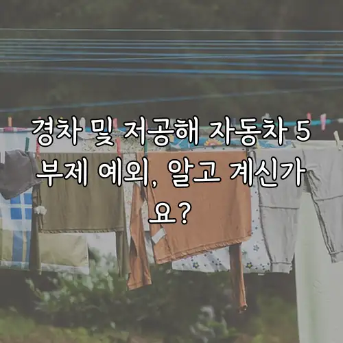 경차 및 저공해 자동차 5부제 예외, 알고 계신가요?