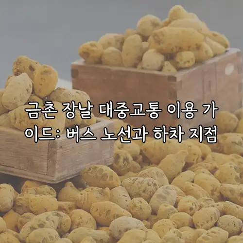 금촌 장날 대중교통 이용 가이드: 버스 노선과 하차 지점