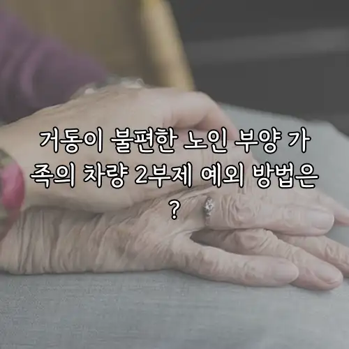 거동이 불편한 노인 부양 가족의 차량 2부제 예외 방법은?