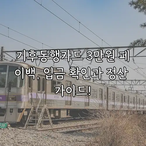 기후동행카드 3만원 페이백, 입금 확인과 정산 가이드!