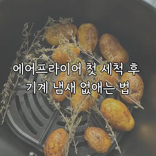 에어프라이어 첫 세척 후 기계 냄새 없애는 법