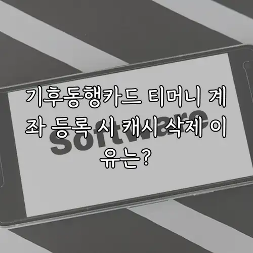 기후동행카드 티머니 계좌 등록 시 캐시 삭제 이유는?