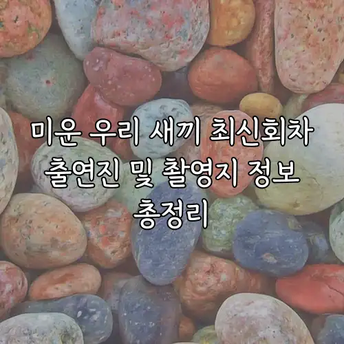 미운 우리 새끼 최신회차 출연진 및 촬영지 정보 총정리