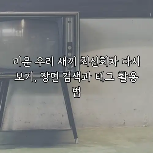 미운 우리 새끼 최신회차 다시보기, 장면 검색과 태그 활용법