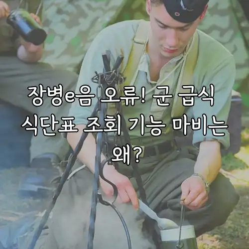 장병e음 오류! 군 급식 식단표 조회 기능 마비는 왜?