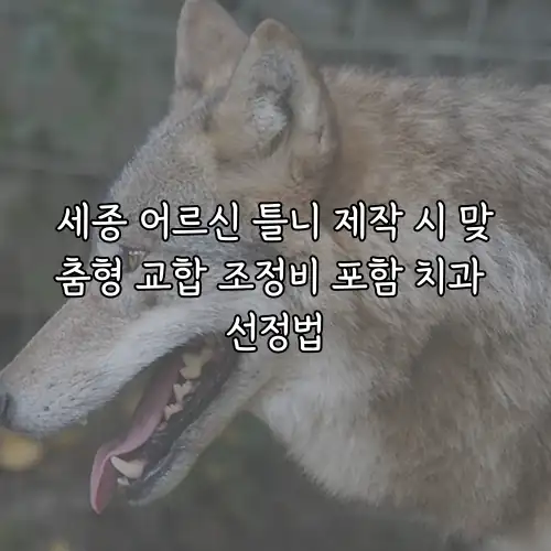 세종 어르신 틀니 제작 시 맞춤형 교합 조정비 포함 치과 선정법