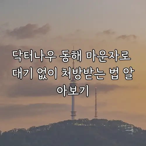 닥터나우 동해 마운자로 대기 없이 처방받는 법 알아보기